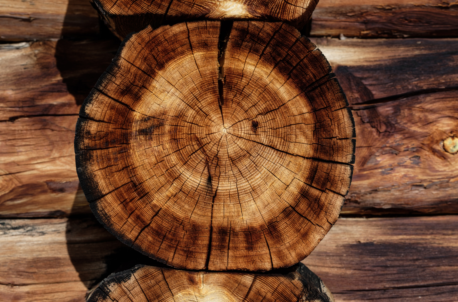 Como combatir humedad madera